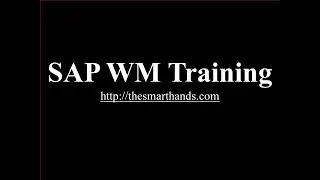 SAP WM Training - Introduction to SAP WM (Video 1) | SAP WM Warehouse Management