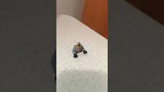 НОВЫЕ ФИГУРКИ LEGO ТРЕСКАЮТСЯ БЫСТРЕЙ , ЧЕМ СТАРЫЕ !