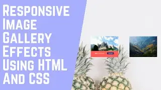 Responsive Image Gallery Effects Using HTML And CSS || Code Mark