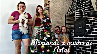 Curitiba/Montando a árvore 🌲
