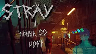 scratching carpets and speed running lets gooooo!!, Stray #02