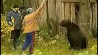 Медведь хочет секса)