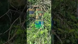 Сильный ураган, пронесло 😬😬