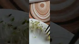 Знакомьтесь!Проростки вблизи) Люцерна, Пажитник, Клевер 🍀, Горчица и Кунжут 