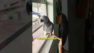 The Best Little Apollo Moments 🥰