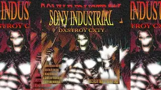 SONY INDUSTRIAL - DXSTROY CXTY (Свежий альбом) #2022