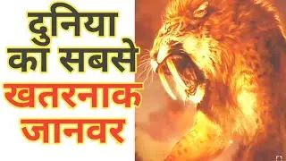 क्या आपको दुनिया के सबसे खतरनाक जानवर के बारे में पता है!!