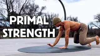 25 MIN Full Body Primal Strength | Build Chest, Shoulders & Triceps