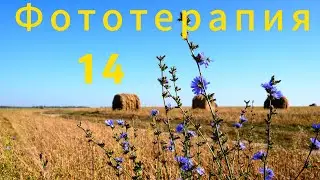 Фототерапия 14. Отпуск в Беларуси.