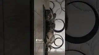 Ричард отдыхает (