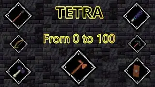 Tetra: From 0 to 100 (Diving in Deeper) (P2) (Tutorial)