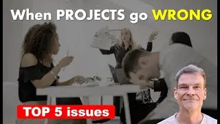 Project Issues examples | Project Management 101 | Issue Management