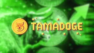 TAMADOGE DON'T MISS THIS!! Tamadoge Updates and News! $TAMA