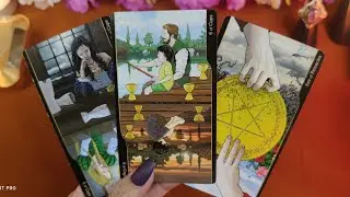 สิ่งที่อยู่ในใจเขาที่อยากบอกคุณ หรืออาจจะไม่อยากบอก❤️Pick a Card❤️