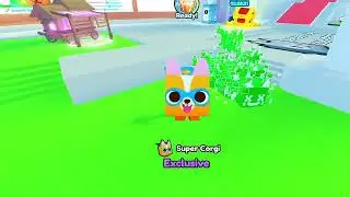 Pet Sim Z link in Dis
