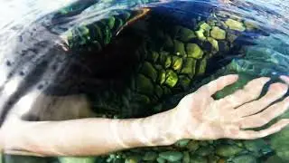 Clearing The Mermaid Mind