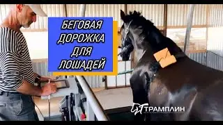 ✅ Беговая дорожка для лошадей 🐴 RunWay 70 #беговаядорожкадлялошадей
