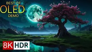EXTREME CLARITY 8K HDR - Best Of OLED Demo 8K ULTRA HD