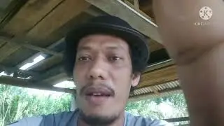 DiHakimi warga , sampai isi perutnya keluar... Terpaksa jual murah
