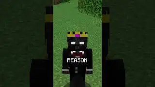 Minecraft's Tallest World Record