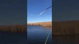 #маргулансейсембай #анардримс #маркарян #