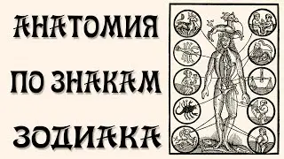 Зодиакальная Анатомия (Астрология и Органы Человека)