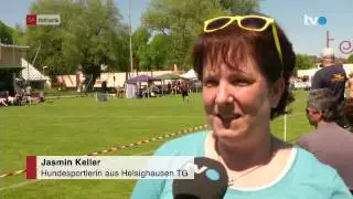 Sandreas CUP III Swizzerland 18-05-2013 - Luca & Maia on TVo-online at  UFO Major