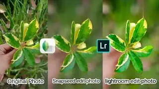 Instagram viral Photography Editing in Snapseed and Lightroom CC Mobile same DSLR  camera photo ❤️