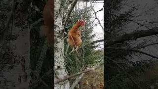 Сплав промышленного альпинизма и вертикальной фермы