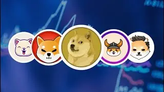 Everything you could know about Meme Coins that could Make you Millions #memecoins #shibainu #crypto