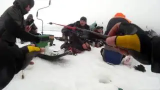 трудовая рыбалка.Видео отчет с Волги от 3 марта 2016 г