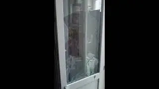 Мышка