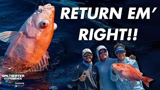Descending Devices For Conservation With Return Em Right | Saltwater Experience