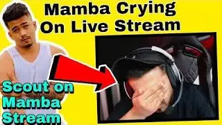 Mamba Crying On Stream, Scout & Mafia On Mamba Stream ❤️ | 8bit Mamba
