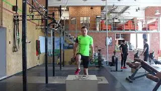 bodymaster : Зашагивания на ящик с гантелями