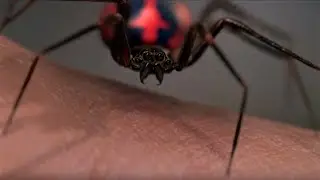 Spider Man - El Comienzo Del Hombre Araña