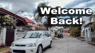 DawgsVee is Back!!! Stoked!!!