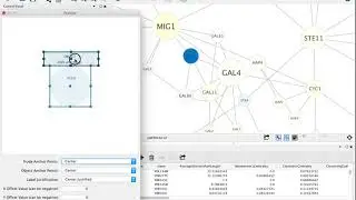 Customizing Node Labels in Cytoscape