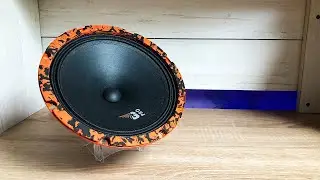 DL Audio Gryphon Pro 200 - обзор динамиков / сравнение с мощным конкурентом - 