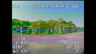 Darlton Flea 2.5 Dive Practice