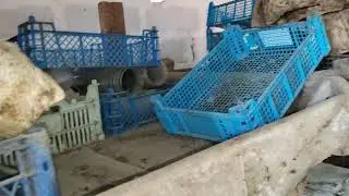 Разведение червей как дополнительный заработок. 27 октября 2024г.