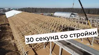 Ферма КРС на 4 000 телят