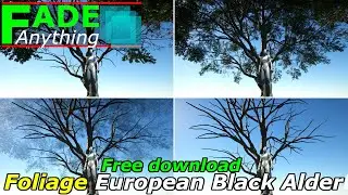 Fade Foliage with Free download European Black Alder on Unreal Engine