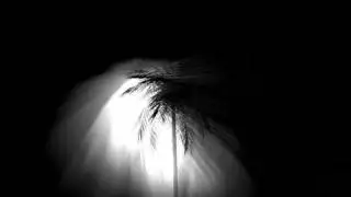 Light-shaft