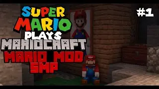 MARIO Plays Minecraft: MARIOCRAFT SMP #1