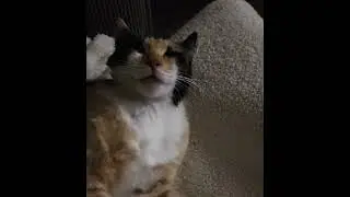 Put in a trance by her Daddy and her waking up was the cutest