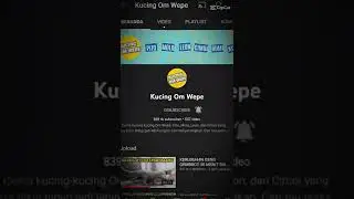 jj akun yt om wepe dan mas kucem @kucingomwepe @kucingcemara