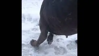 Неожиданная встреча!!!Она такая милая!!!