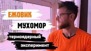 Ежовик и Мухомор / Термоядерный эксперимент