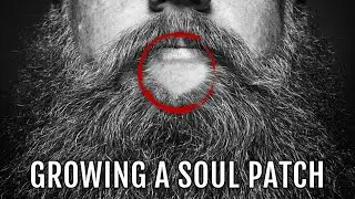 Does Beard Oil help grow your Soul Patch?